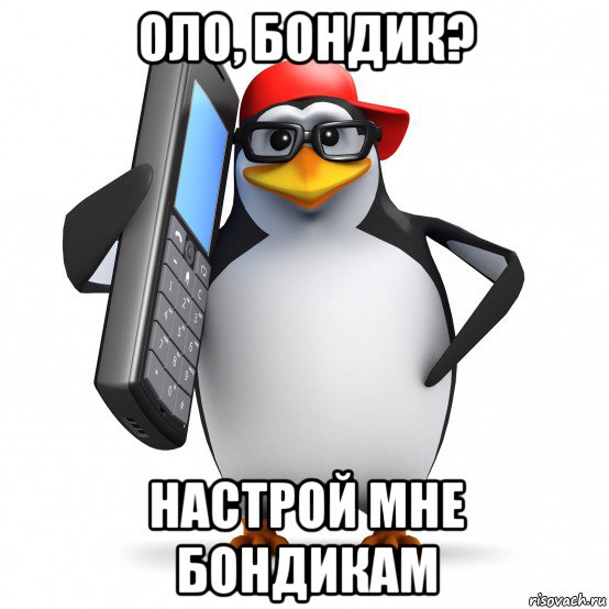 оло, бондик? настрой мне бондикам, Мем   Пингвин звонит