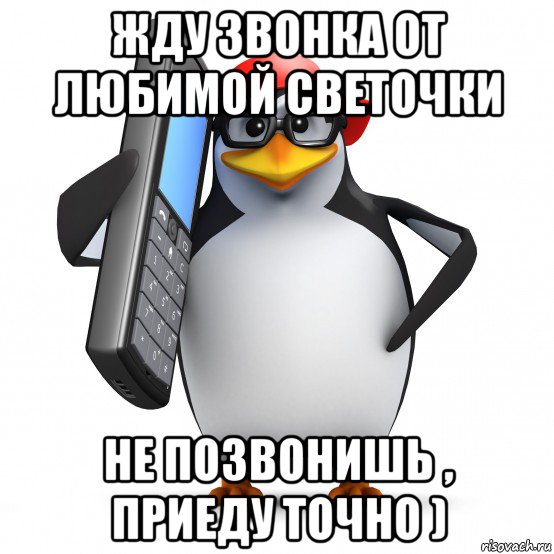 жду звонка от любимой светочки не позвонишь , приеду точно ), Мем   Пингвин звонит