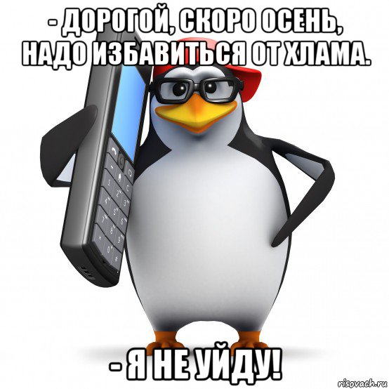 - дорогой, скоро осень, надо избавиться от хлама. - я не уйду!, Мем   Пингвин звонит