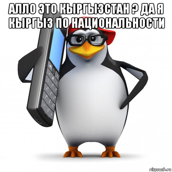 алло это кыргызстан ? да я кыргыз по национальности , Мем   Пингвин звонит