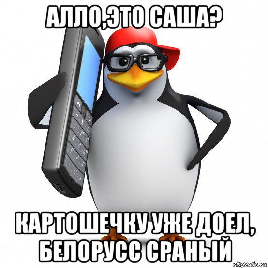 алло,это саша? картошечку уже доел, белорусс сраный, Мем   Пингвин звонит