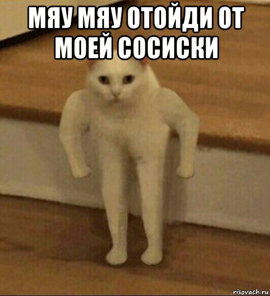 мяу мяу отойди от моей сосиски , Мем  Полукот