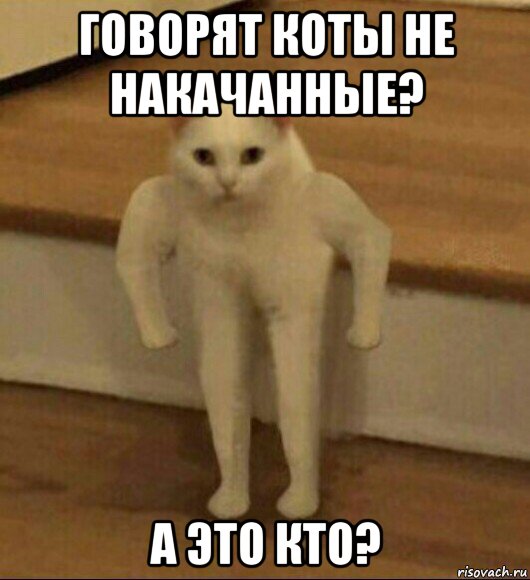 говорят коты не накачанные? а это кто?, Мем  Полукот