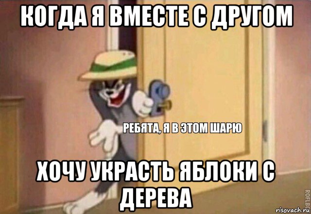 когда я вместе с другом хочу украсть яблоки с дерева, Мем    Ребята я в этом шарю