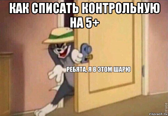 как списать контрольную на 5+ , Мем    Ребята я в этом шарю