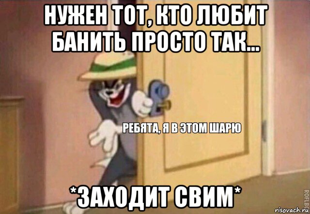 нужен тот, кто любит банить просто так... *заходит свим*, Мем    Ребята я в этом шарю