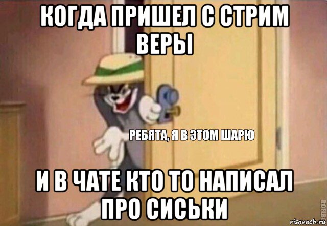 когда пришел с стрим веры и в чате кто то написал про сиськи, Мем    Ребята я в этом шарю