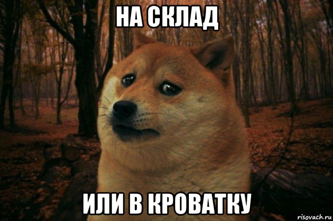 на склад или в кроватку, Мем SAD DOGE