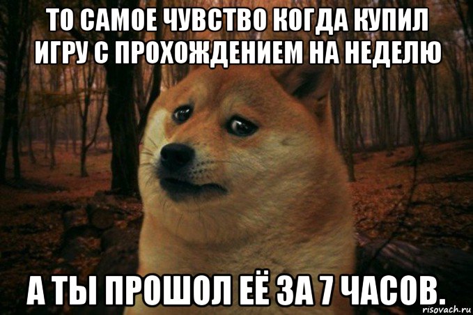 то самое чувство когда купил игру с прохождением на неделю а ты прошол её за 7 часов., Мем SAD DOGE