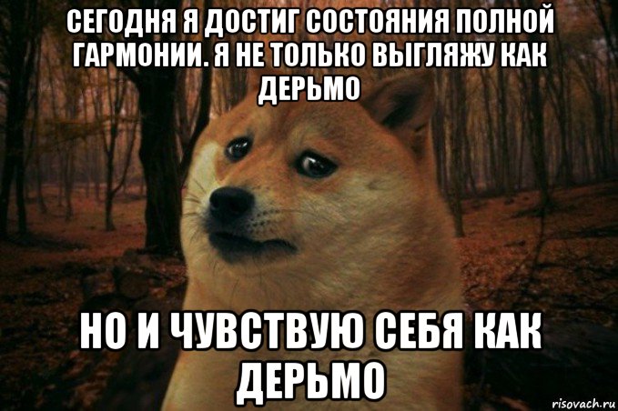 сегодня я достиг состояния полной гармонии. я не только выгляжу как дерьмо но и чувствую себя как дерьмо, Мем SAD DOGE