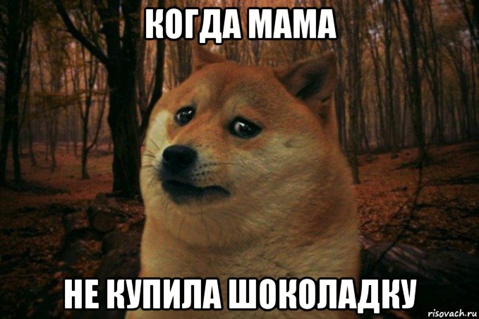 когда мама не купила шоколадку, Мем SAD DOGE