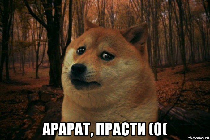  арарат, прасти (0(, Мем SAD DOGE