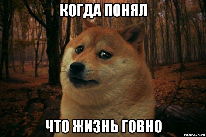 когда понял что жизнь говно, Мем SAD DOGE