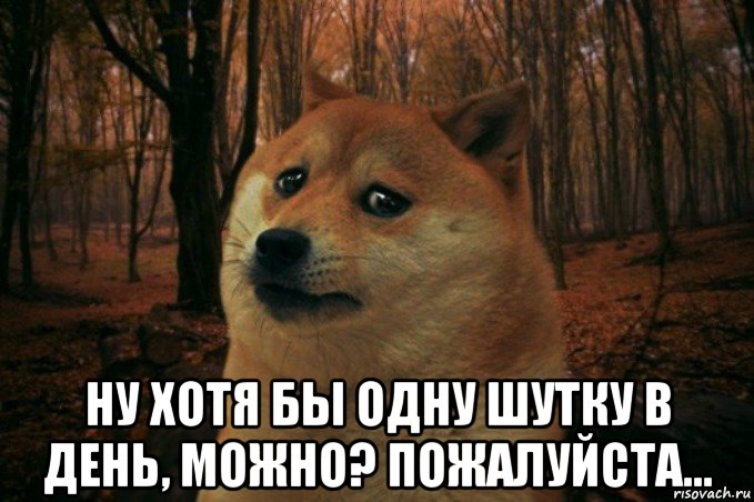  ну хотя бы одну шутку в день, можно? пожалуйста...