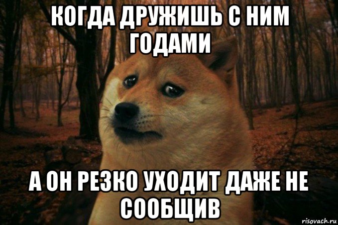 когда дружишь с ним годами а он резко уходит даже не сообщив, Мем SAD DOGE