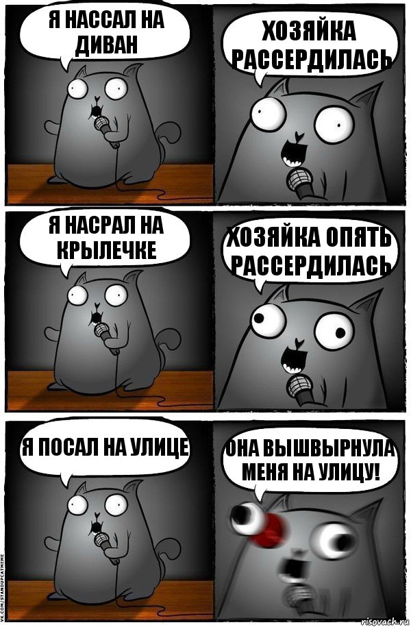 Я нассал на диван Хозяйка рассердилась Я насрал на крылечке Хозяйка опять рассердилась Я посал на улице Она вышвырнула меня на улицу!, Комикс  Стендап-кот