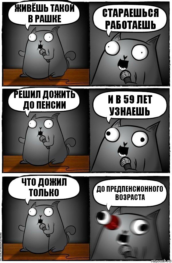 Живёшь такой в рашке стараешься работаешь решил дожить до пенсии и в 59 лет узнаешь что дожил только ДО ПРЕДПЕНСИОННОГО ВОЗРАСТА, Комикс  Стендап-кот