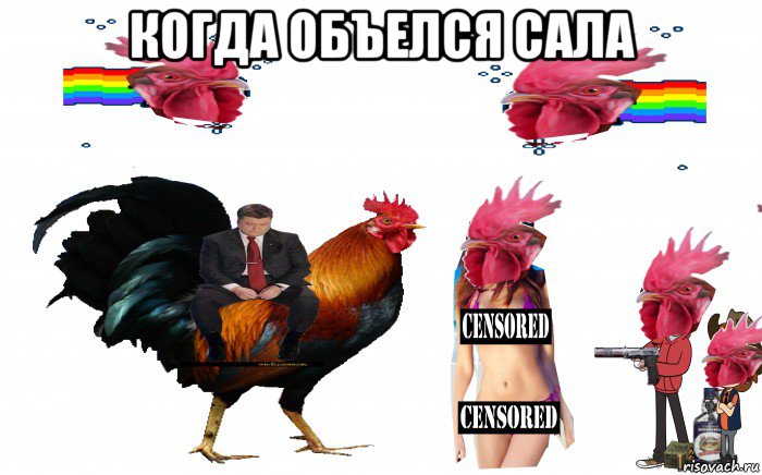 когда объелся сала 