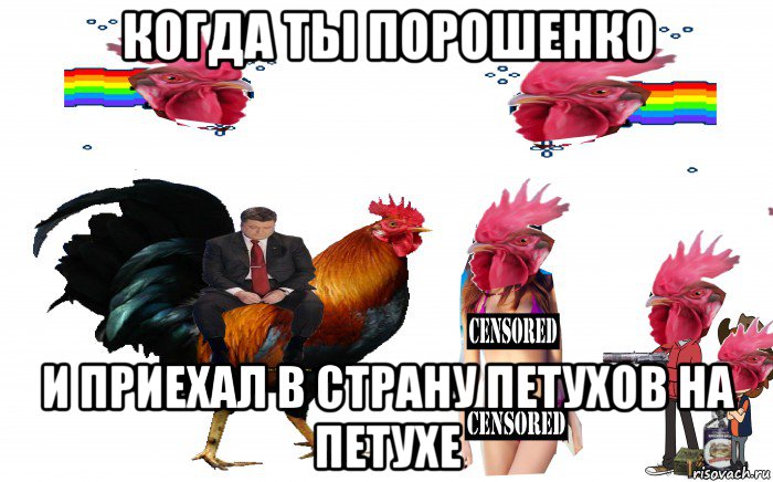 когда ты порошенко и приехал в страну петухов на петухе, Мем Страна Петухов