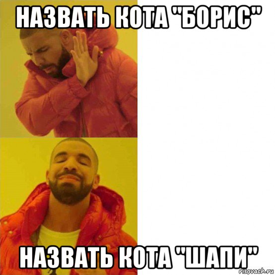 назвать кота "борис" назвать кота "шапи", Комикс Тимати да нет