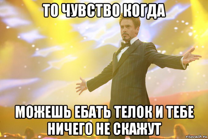 то чувство когда можешь ебать телок и тебе ничего не скажут, Мем Тони Старк (Роберт Дауни младший)