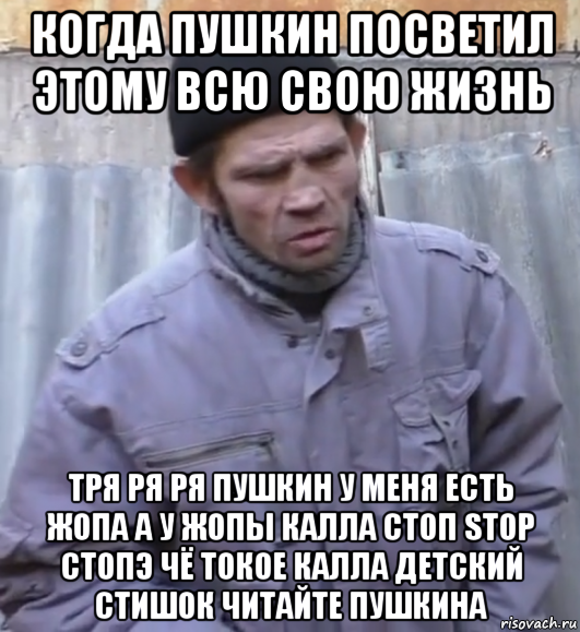 когда пушкин посветил этому всю свою жизнь тря ря ря пушкин у меня есть жопа а у жопы калла стоп stop стопэ чё токое калла детский стишок читайте пушкина, Мем  Ты втираешь мне какую то дичь