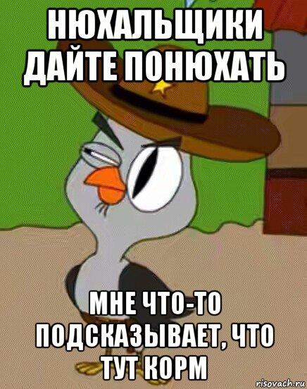 нюхальщики дайте понюхать мне что-то подсказывает, что тут корм, Мем    Упоротая сова