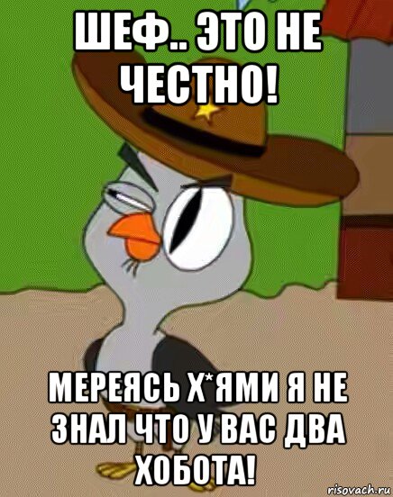 шеф.. это не честно! мереясь х*ями я не знал что у вас два хобота!, Мем    Упоротая сова