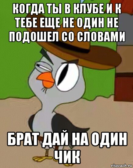 когда ты в клубе и к тебе еще не один не подошел со словами брат дай на один чик, Мем    Упоротая сова