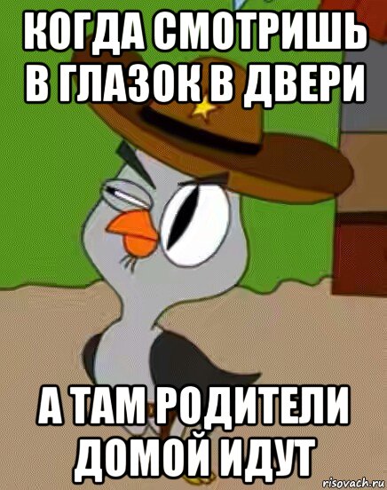 когда смотришь в глазок в двери а там родители домой идут, Мем    Упоротая сова