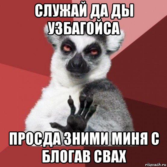 служай да ды узбагойса просда зними миня с блогав свах, Мем Узбагойзя