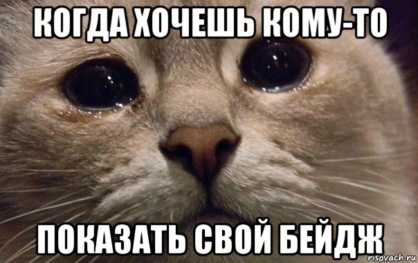 когда хочешь кому-то показать свой бейдж, Мем   В мире грустит один котик