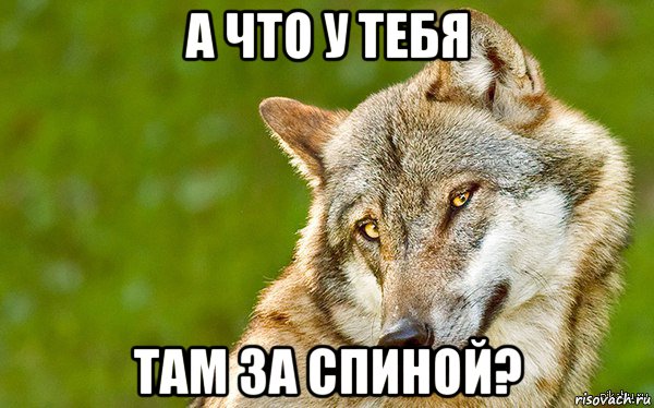 а что у тебя там за спиной?