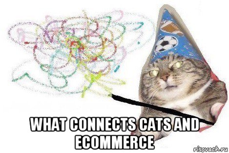  what connects cats and ecommerce, Мем Вжух мем