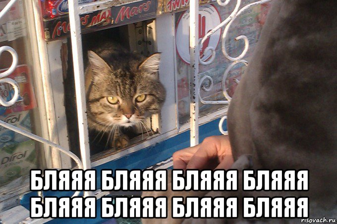  бляяя бляяя бляяя бляяя бляяя бляяя бляяя бляяя, Мем 18 есть пидрила ебаная