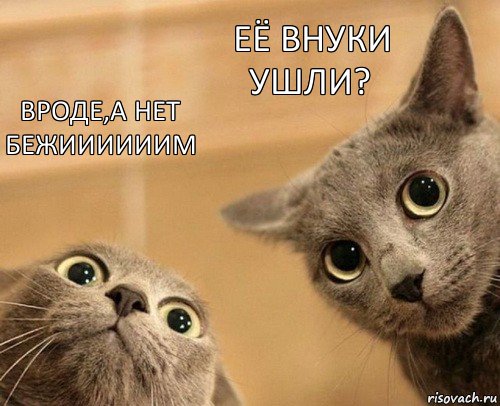 Вроде,а нет бежиииииим Её внуки ушли?, Комикс  2 кота