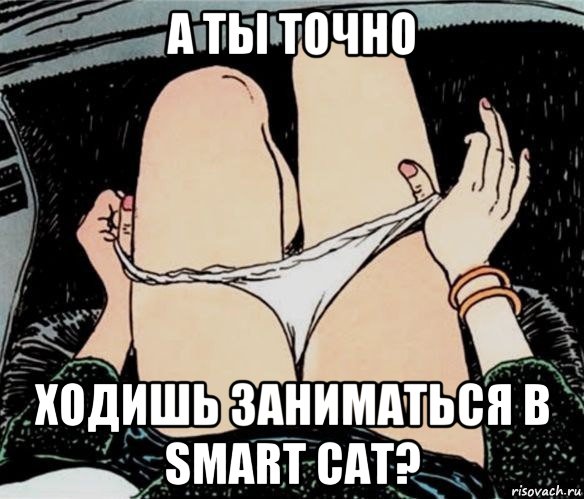 а ты точно ходишь заниматься в smart cat?, Мем А ты точно