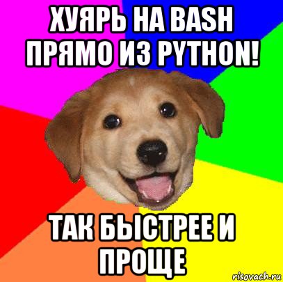 хуярь на bash прямо из python! так быстрее и проще, Мем Advice Dog