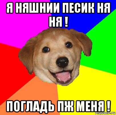 я няшнии песик ня ня ! погладь пж меня !, Мем Advice Dog