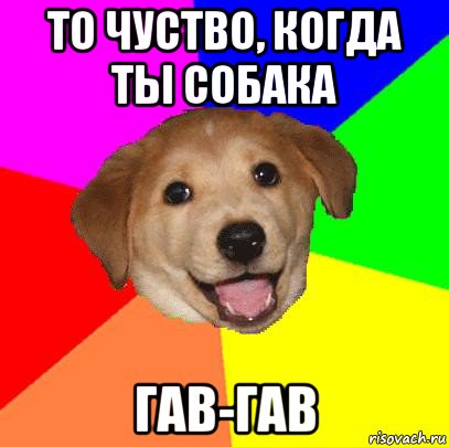 то чуство, когда ты собака гав-гав, Мем Advice Dog