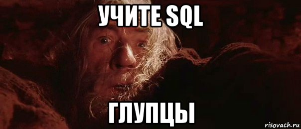 учите sql глупцы