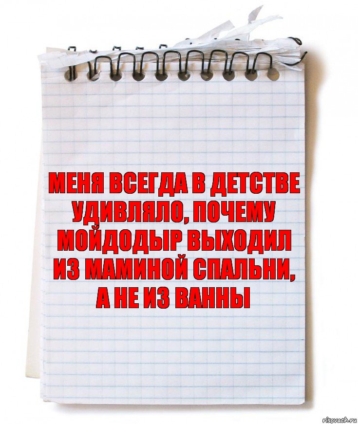 Меня всегда в детстве удивляло, почему мойдодыр выходил из маминой спальни, а не из ванны, Комикс   блокнот с пружинкой