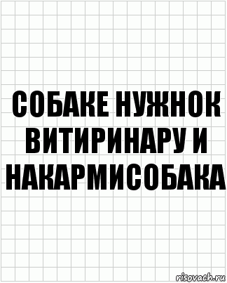 собаке нужнок витиринару и накармисобака, Комикс  бумага