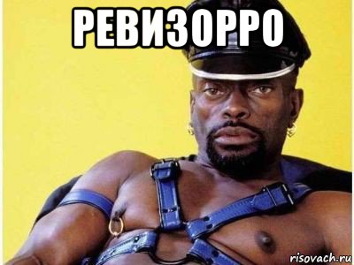 ревизорро 