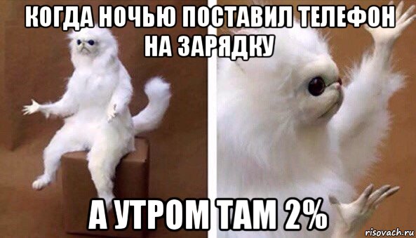 когда ночью поставил телефон на зарядку а утром там 2%