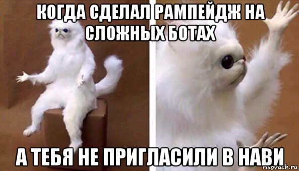 когда сделал рампейдж на сложных ботах а тебя не пригласили в нави, Мем Чучело кота