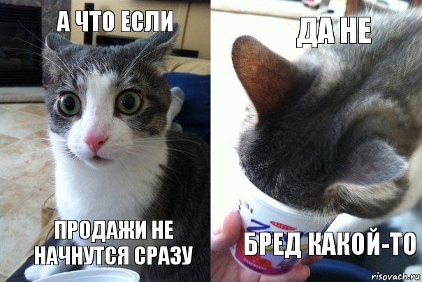 А что если Продажи не начнутся сразу Да не Бред какой-то, Комикс  Да не бред какой-то (4 зоны)