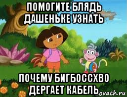 помогите блядь дашеньке узнать почему бигбоссхво дергает кабель, Мем Даша следопыт