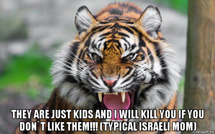  they are just kids and i will kill you if you don`t like them!!! (typical israeli mom), Мем ДЕРЗКИЙ ТИГР