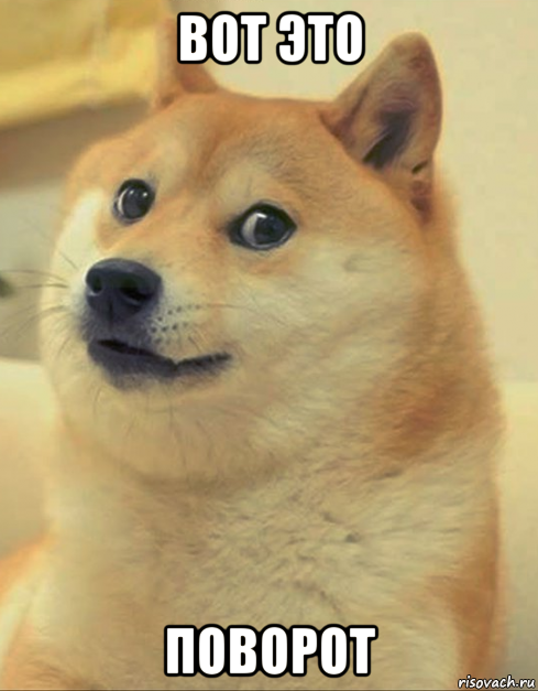 вот это поворот, Мем doge woof